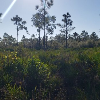 Split Oak Forest - Hiking Near Me - Orlando, Florida