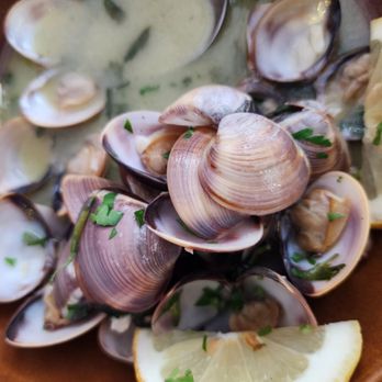 Avo Maria - Clams - Portuguese Near Me - Porto, 13