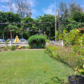 Waiahole Farm - Fruits & Veggies Near Me - Kaneohe, Hawaii Waiahole Farm - Fruits & Veggies Near Me - Kaneohe, Hawaii