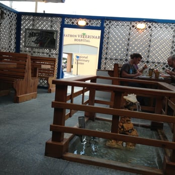 Cracked Conch Cafe - Seafood Near Me - Marathon, Florida