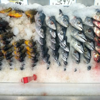 Sea and Sea - It'd Be Funny If They Started Singing - Seafood Near Me - New York, New York Sea and Sea - It'd Be Funny If They Started Singing - Seafood Near Me - New York, New York