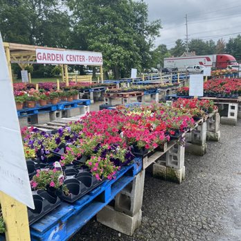 Garden Gate Fruit Market - Fruits & Veggies Near Me - Louisville, Kentucky Garden Gate Fruit Market - Fruits & Veggies Near Me - Louisville, Kentucky