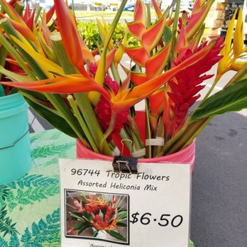 96744 Tropic Flowers - The best cut tropical flowers! - Florists Near Me - Honolulu, Hawaii 96744 Tropic Flowers - The best cut tropical flowers! - Florists Near Me - Honolulu, Hawaii