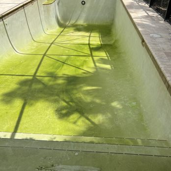 Best Florida Pools & Spa - Pool & Hot Tub Service Near Me - Orlando, Florida