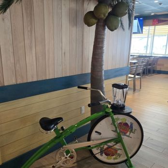 Landshark Bar & Grill - Bars Near Me - Barnstable, Massachusetts Landshark Bar & Grill - Bars Near Me - Barnstable, Massachusetts