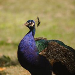 Cape May County Park & Zoo
