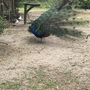 Cohanzick Zoo - Zoos Near Me - Bridgeton, New Jersey