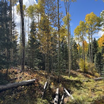 Aspen Vista Trail - Hiking Near Me Aspen Vista Trail - Hiking Near Me