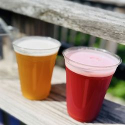Bolton Landing Brewing - IPA and Sour