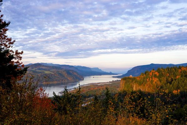 Portland Women's Forum State Scenic Viewpoint by null