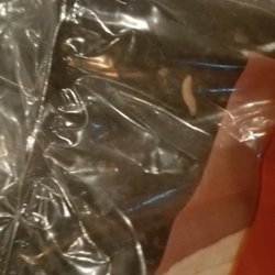 Snoqualmie Market - Worm found in sealed package of torillas bought on 8-18-2017