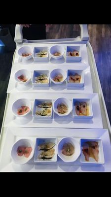 To-Kai Sushi, Hibachi Steakhouse and Bar by null