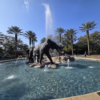 Audubon Zoo - Aquariums Near Me - New Orleans, Louisiana