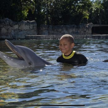 Discovery Cove - Looks good? - Amusement Parks Near Me - Orlando, Florida
