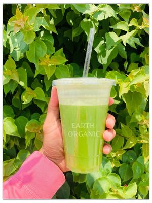 Earth Organic Juice Bar by null