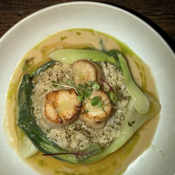 Calida Kitchen & Wine - Scallops - Wine Bars Near Me - St. Petersburg, Florida