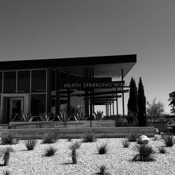 Hill Country Wine Tours by Pronto Andiamo
