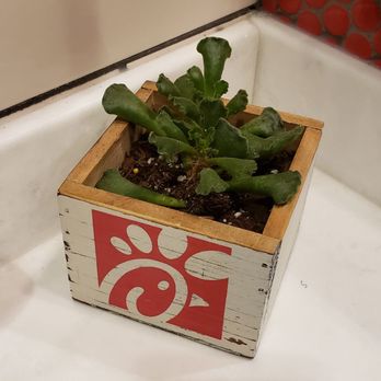 Chick-fil-A - I usually don't take pictures in public restrooms, but this is the most adorable thing!? - Fast Food Near Me - Albemarle, North Carolina Chick-fil-A - I usually don't take pictures in public restrooms, but this is the most adorable thing!? - Fast Food Near Me - Albemarle, North Carolina