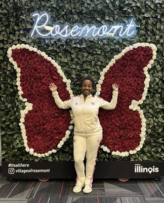 Donald E. Stephens Convention Center by null