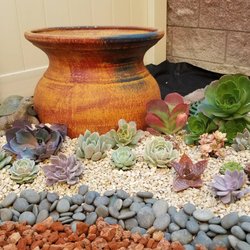 Memo's Nursery - Sharing my succulent tapestry project. Jar is $39 succulents medium size is $4 small $2.