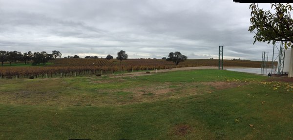 Bokisch Vineyards by null