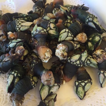 Kate Zaharra - Percebes. Gooseneck barnacles. Must try! - Signature Cuisine Near Me - Bilbao, BI