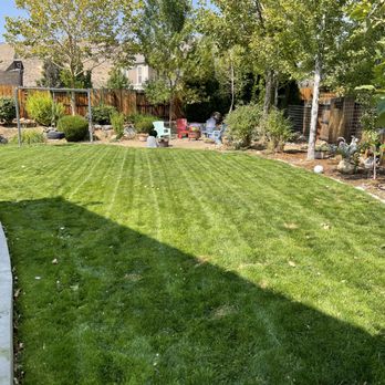 Lawn & Order - a view of the back yard - Lawn Services Near Me Lawn & Order - a view of the back yard - Lawn Services Near Me