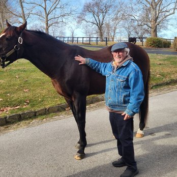 Claiborne Farm - War Front - Horse Racing Near Me - Paris, Kentucky