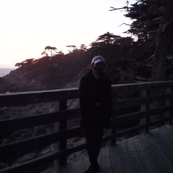 The Lone Cypress - Landmarks & Historical Buildings Near Me - Del Monte Forest, California