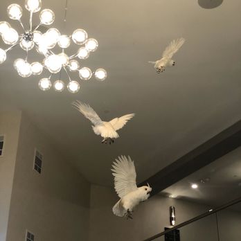 Hampton Inn Vallejo - Inside (random owls...) - Hotels Near Me - Vallejo, California