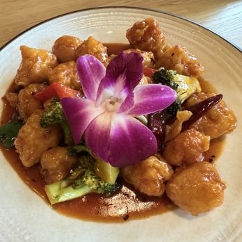 Zen Dumpling - General Tso's Chicken - Soup Near Me - Orlando, Florida Zen Dumpling - General Tso's Chicken - Soup Near Me - Orlando, Florida