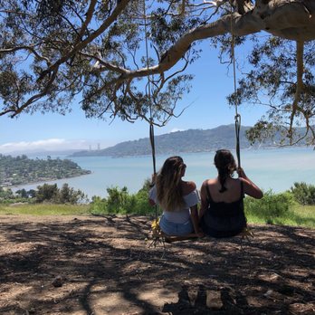 Hippie Tree - Hiking Near Me - Tiburon, California