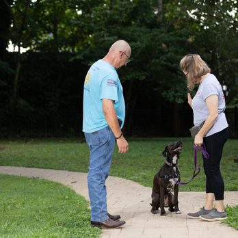 Alan's K9 Academy - Pet Training Near Me Alan's K9 Academy - Pet Training Near Me