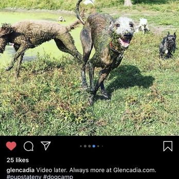 Glencadia Dog Camp - Pet Boarding Near Me - New York, New York Glencadia Dog Camp - Pet Boarding Near Me - New York, New York