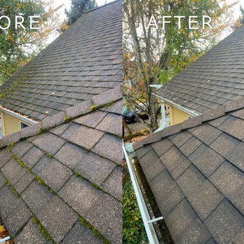 Moss Boss - Roofing Near Me