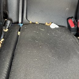 This was after the "car wash." Enough said.