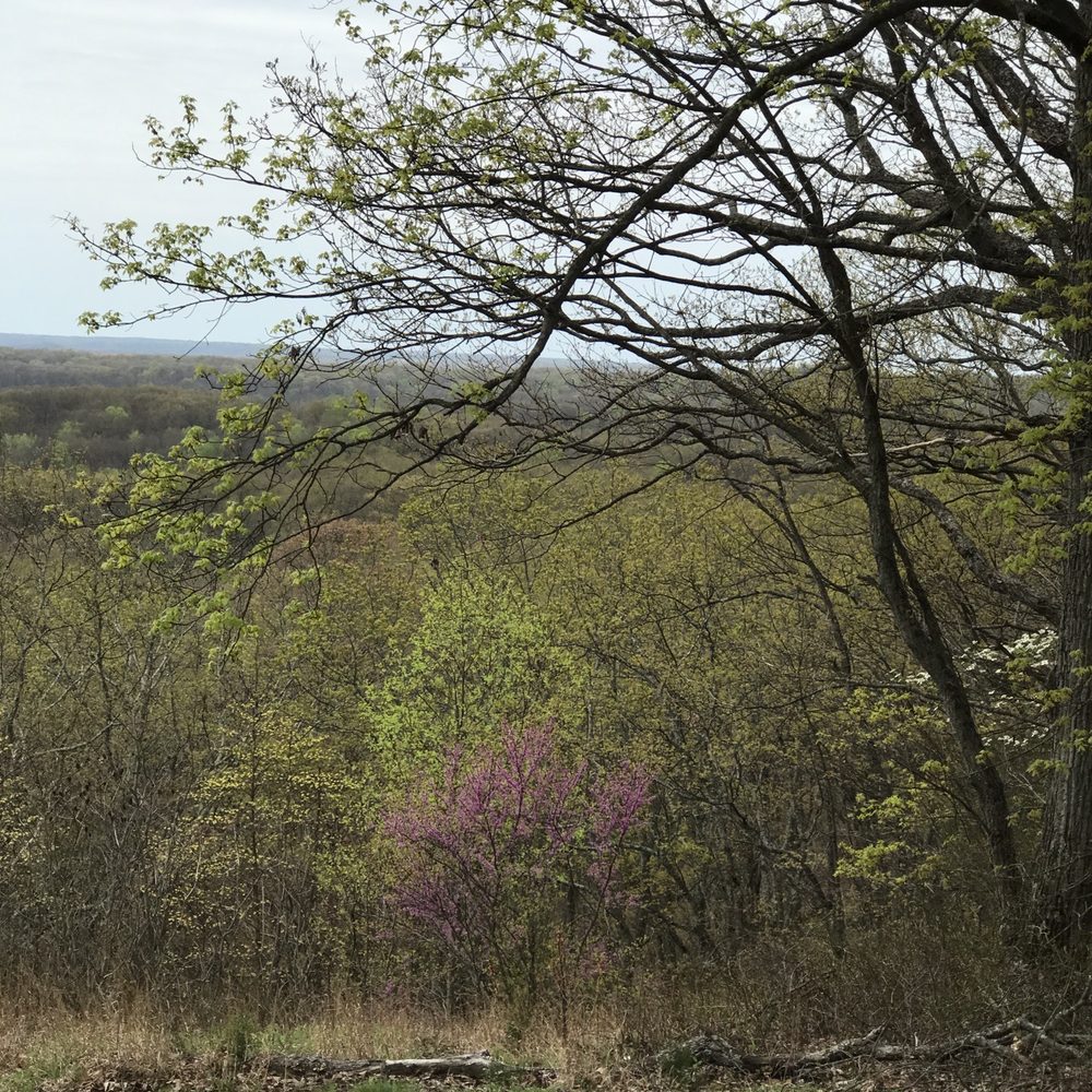 Brown County State Park - It's a bit hazy today but a hazy day outside is better than being inside. - Hiking Near Me - Nashville, Indiana Brown County State Park - It's a bit hazy today but a hazy day outside is better than being inside. - Hiking Near Me - Nashville, Indiana