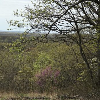 Brown County State Park - It's a bit hazy today but a hazy day outside is better than being inside. - Hiking Near Me - Nashville, Indiana Brown County State Park - It's a bit hazy today but a hazy day outside is better than being inside. - Hiking Near Me - Nashville, Indiana