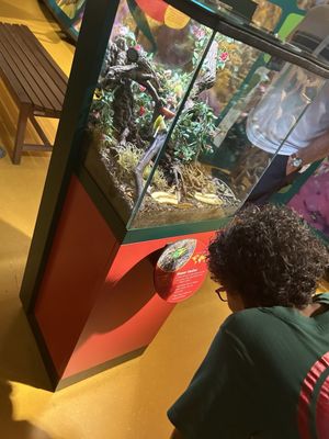 Audubon Insectarium by null