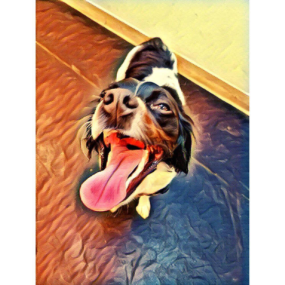 A Paw Place Image