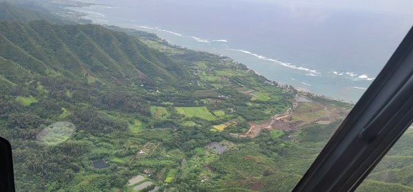 Blue Hawaiian Helicopters by null