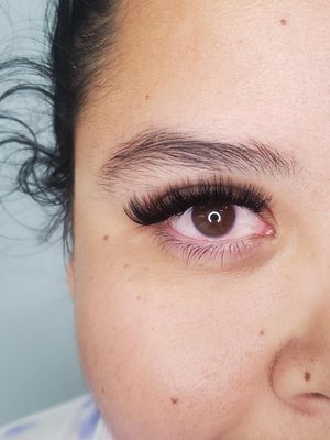 Wink Lashes by null