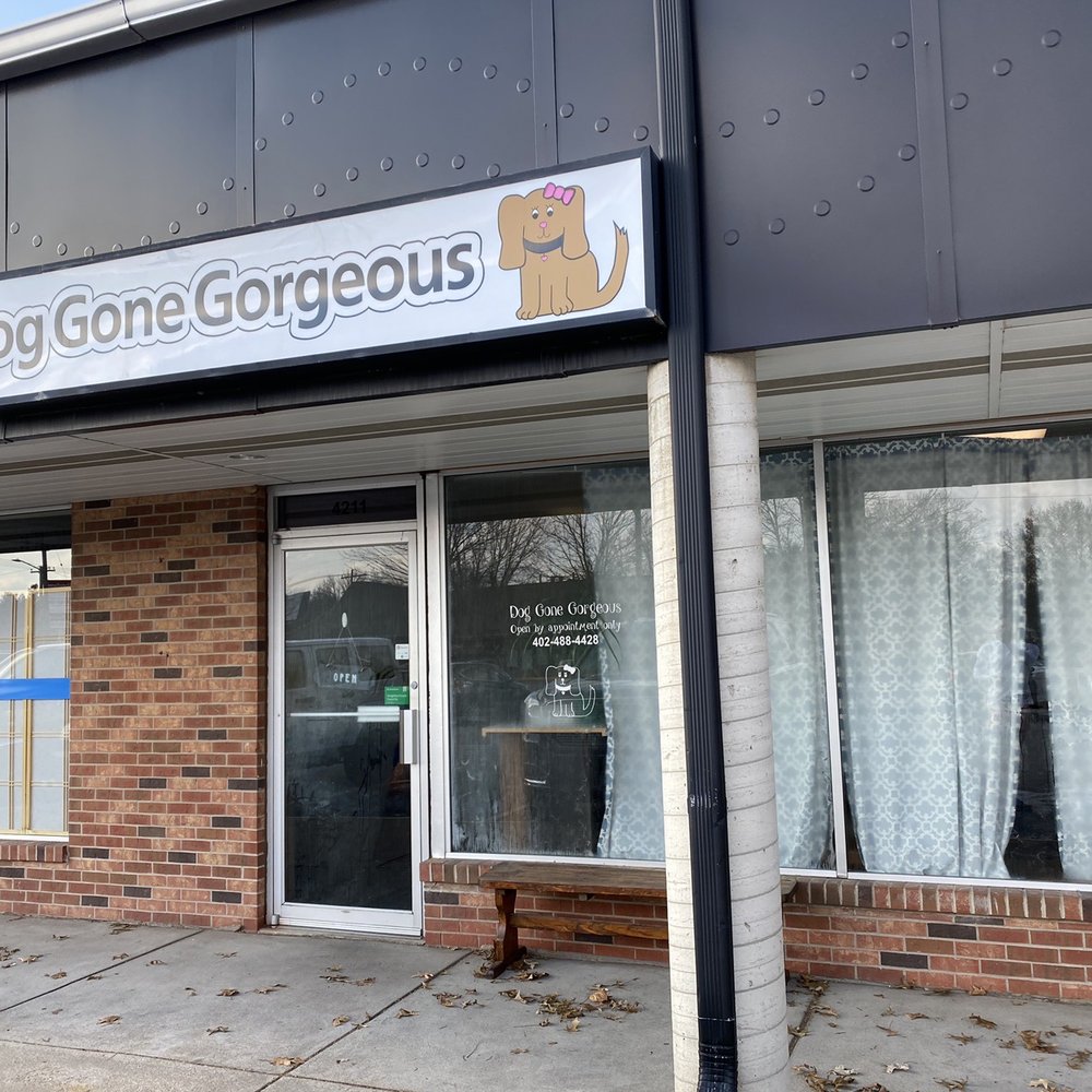 The Dapper Dog - Front entrance - Pet Groomers Near Me - Lincoln, Nebraska