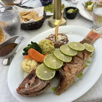 Alexander Restaurant - Red Snapper plate - American Near Me - Centro, BCS Alexander Restaurant - Red Snapper plate - American Near Me - Centro, BCS