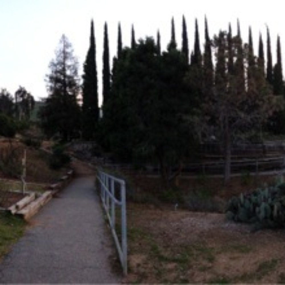 UCR Botanic Gardens - Panorama from the rose garden - Botanical Gardens Near Me - Riverside, California UCR Botanic Gardens - Panorama from the rose garden - Botanical Gardens Near Me - Riverside, California