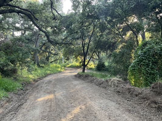 Marshall Canyon Regional Park by null