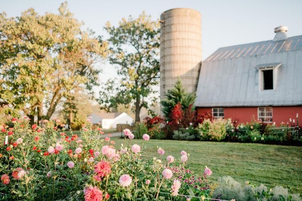 Hope Flower Farm & Winery by null