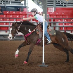 Ride The Wind Stables