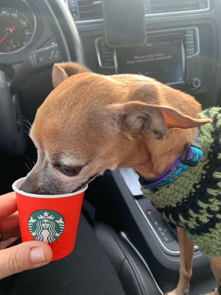 THOMAS J O’CONNOR ANIMAL CONTROL AND ADOPTION CENTER Updated September 2024 19 Reviews 627