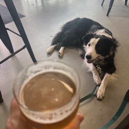 Falcon Heavy (mosaic and Citra hops) Falcon Heavy (mosaic and Citra hops)